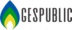 GESPUBLIC - Serviços em Gestão Pública & Tecnologia da Informação